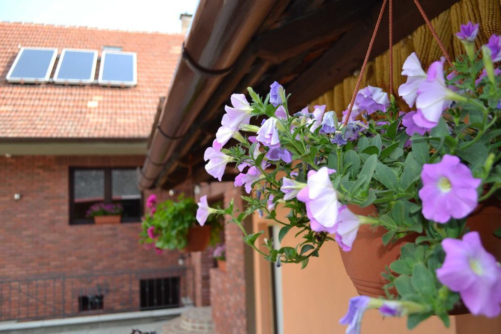 Penzion Vinarsky Dvorek Velke Nemcice Esterno foto